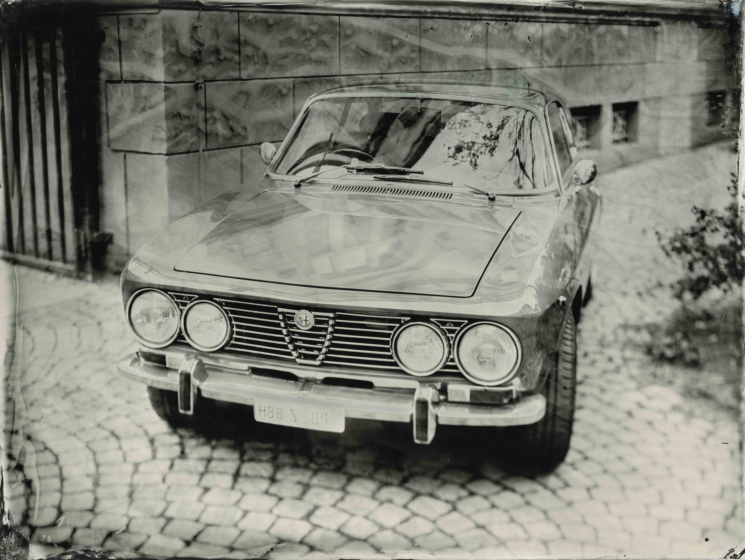 AlfaRomeo